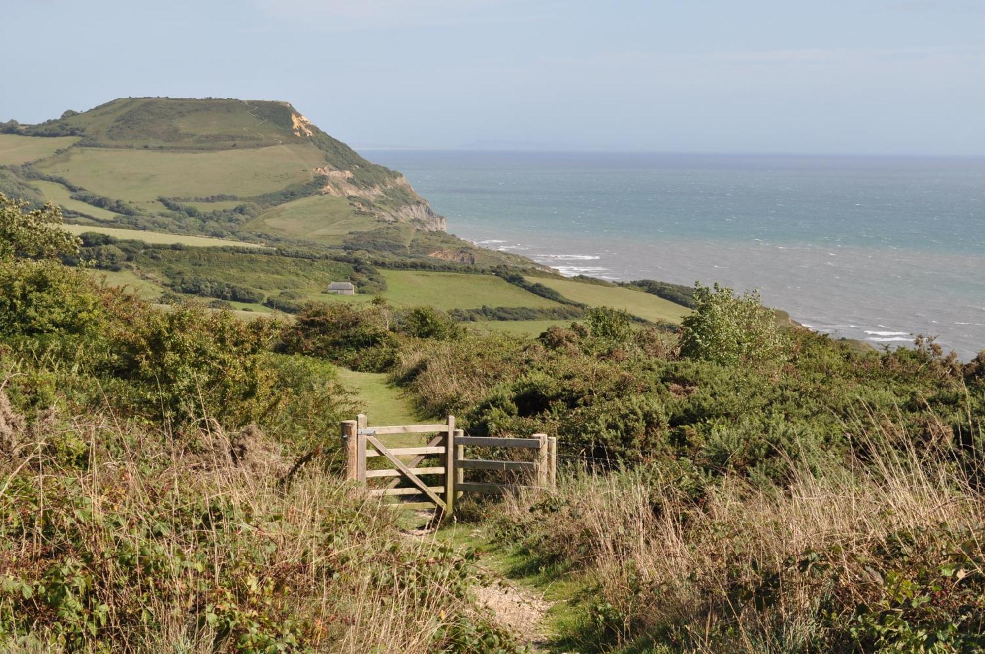 The Retreat, Own Hot Tub, Romantic Escape, Near Lyme Regis Eksteriør billede
